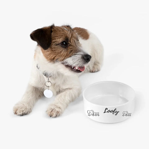 Image of Pet Bowl